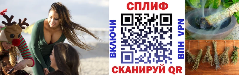 Где купить Кадников Альфа ПВП Амфетамин COCAIN ГАШ Канабис Меф