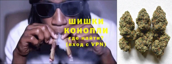 трава Инта