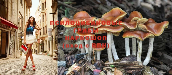 трава Инта