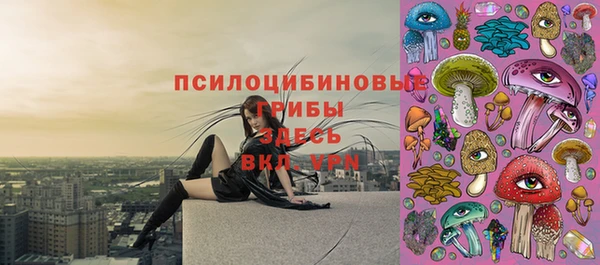 МДМА Инсар