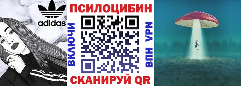 сайты даркнета Telegram  Кадников  Псилоцибиновые грибы мухоморы 